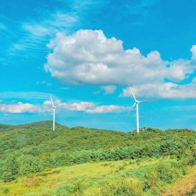 蚁国文明手机版下载